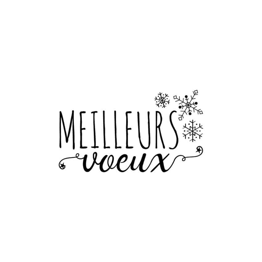 Meilleurs voeux 2021