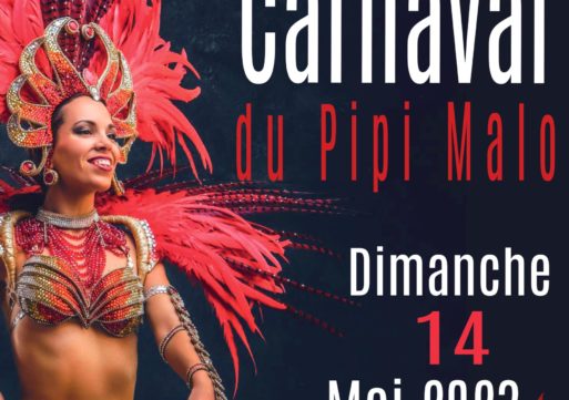 38ème Carnaval du Pipi Malo