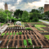 Agriculture urbaine : Les Jardins du Maingoval